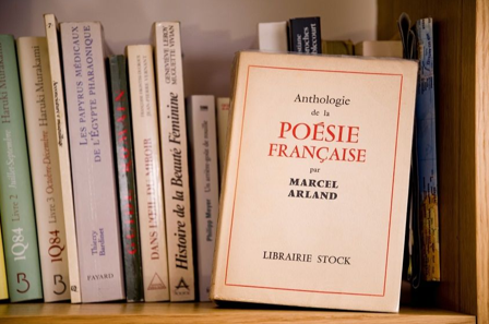 Literatura y Cultura